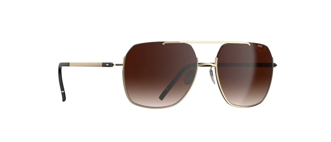 Silhouette Ingonish 8749 Sunglasses - view 9